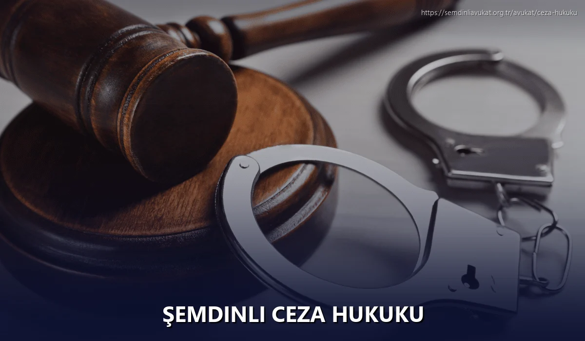 Şemdinli Ceza Hukuku